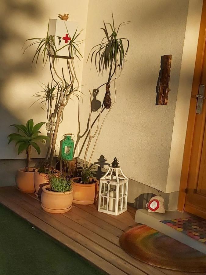 Bikeski Family Hotel, B&B, Apartaments, Rooms Mezica Kültér fotó